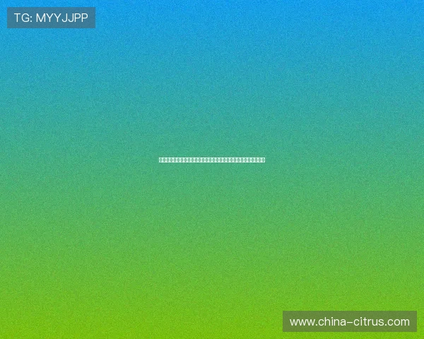 弗林蓬本场闪耀一传两过人十三对抗胜五尽显全能边翼风采助力胜利