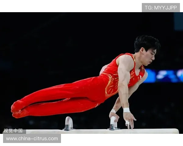 体操张博恒个人全能摘银
