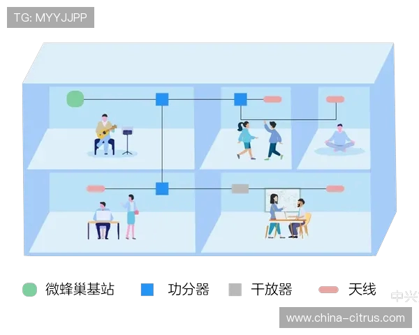 体育场馆5G宏基站与室内分布系统协调